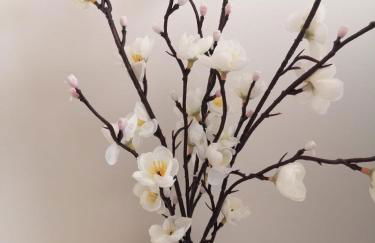 Casa Vila Rosa - T1 Altura Beach - Photo 12