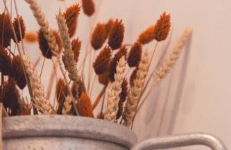 Le Pop Art- Petit nid douillet - Foto 24