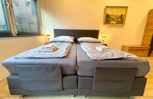 Black Forest Apartament Schlössle Goldstadt Pforzheim Schwarzwald - Foto 38