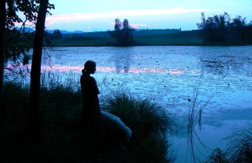 Ferienhof Hiemer - Foto 23