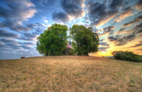Ferienwohnungen Müller - Foto 12