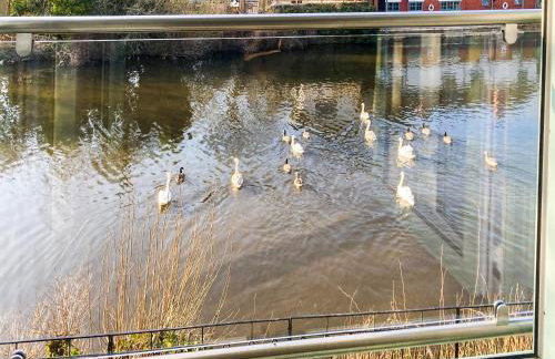 Chainbridge Cottage - Photo 11