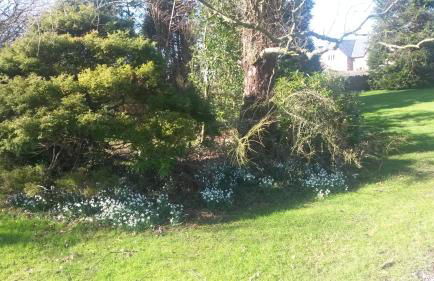 Harris End - Foto 11