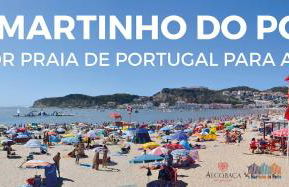 Silver Coast Holiday - Photo 19