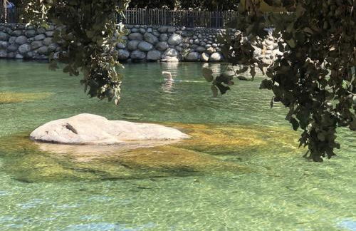 Molino de La Médica - Casa Rural de Lujo en Gredos - Foto 22