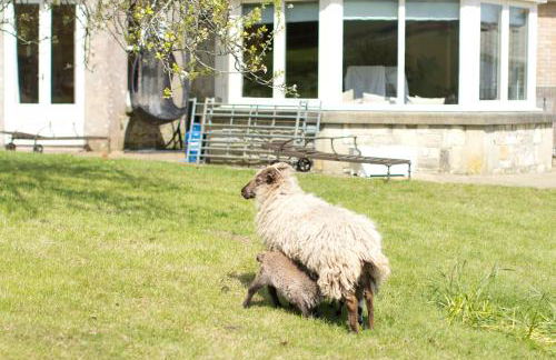 Godshill Park Cottages - Foto 20