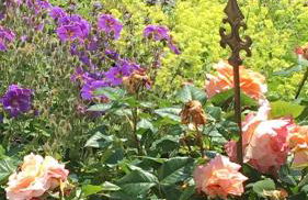 Ferienhaus Rotzinger - Foto 35