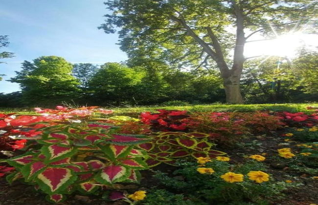 Apartment in Armsfeld With Pool - Foto 30