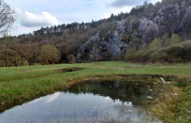 Rural Apartment Carolina - Foto 32