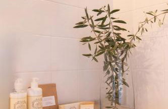 Horta dos Caracóis - Foto 25