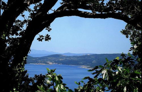 Holiday Home Dajana - Photo 23