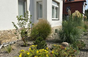 Auguststadt-Residenz - Foto 36