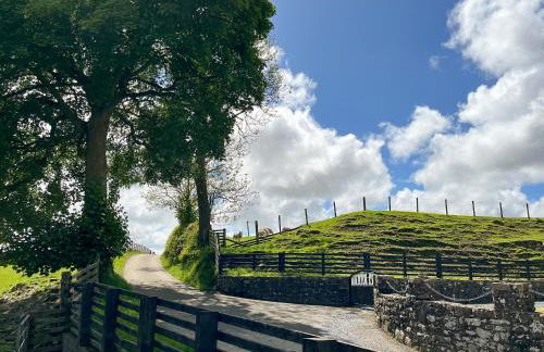 Dolwen Isaf - Photo 24