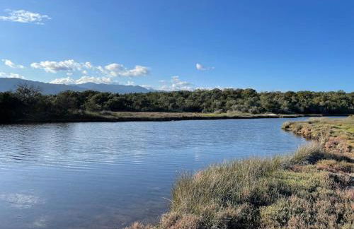 T4 neuf Porto Vecchio Calarossa - Foto 18