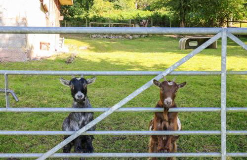 Pen Y Banc - Foto 41