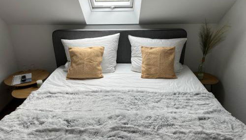 Connect 9.1 - Foto 2