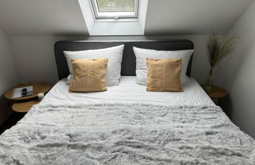 Connect 9.1 - Foto 2