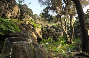 Casas Del Monte II - Foto 13