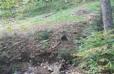 Staś -przy szkole nr 3 w Skawie - Foto 16