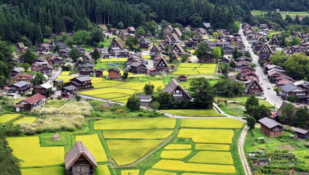 Vue panoramique de Shirakawago en été