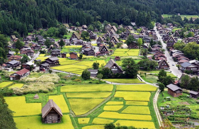 Kanazawa & Shirakawago Tour - Foto 3