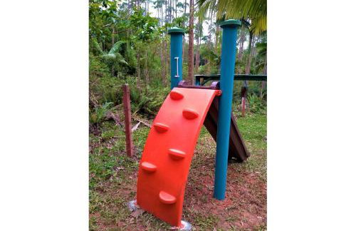 Sitio Libardo em Meio a Natureza - Nova Trento - Foto 82