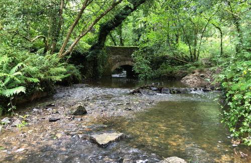 8 Oakridge, St Mellion - Photo 34