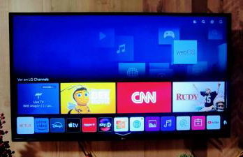 Carlina Canfranc - Foto 29