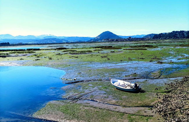 Visita a una fábrica conservera + Marismas de Santoña - Foto 9