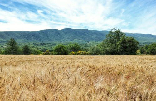 Villa piscine face au grand luberon Cereste - Foto 15