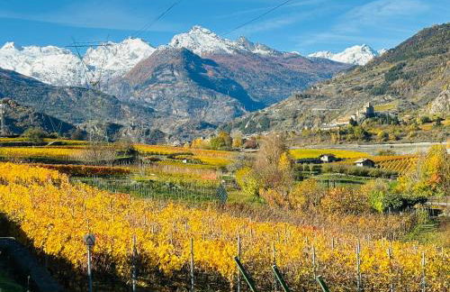 La maison des amis - Foto 48