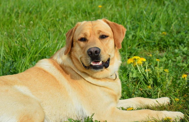 Schnatterhof - Photo 32