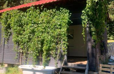 Noclegi Zielona Gęś - Foto 30