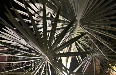 Lindo Sítio Estilo Moderno - Foto 58