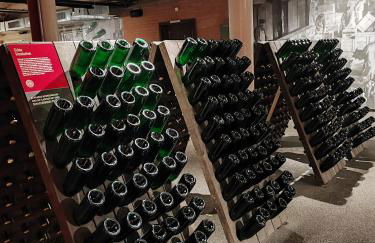 Weinberghaus - Wohnen im Weinberg in der Toskana des Nordens - Foto 49