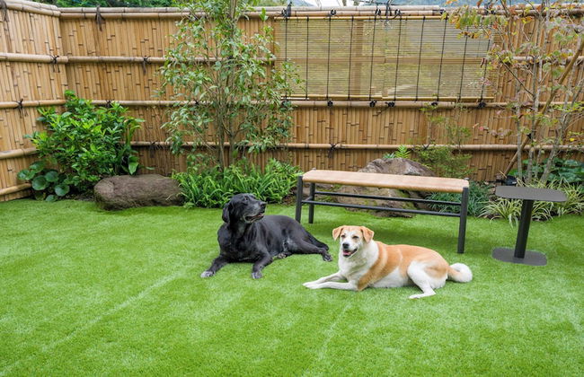 Rakuten STAY TERRACE Hakone Kowakudani - Foto 80