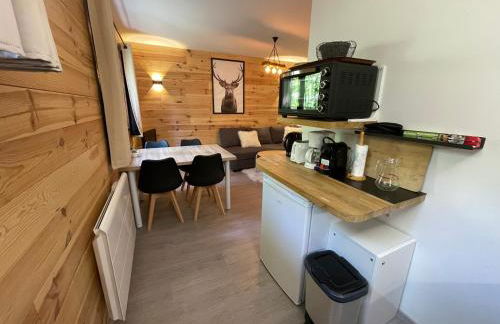 Auron, appart cosy au calme proche centre & pistes - Foto 7