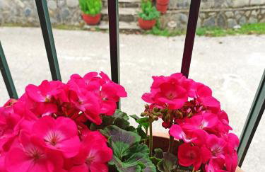 Feneos apartment - Foto 1