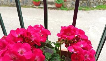 Feneos apartment - Foto 1