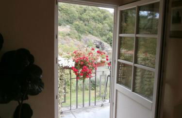 Ferienwohnung Saaleblick - Foto 35