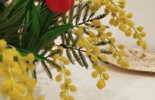 La Casa de la Mimosa - Foto 51