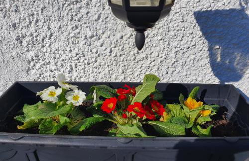 Wales' Highest Village - The Chartist Cottage - Trefil - Photo 39