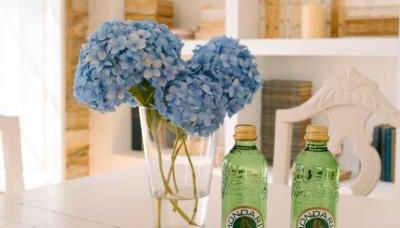 A galería do san Ramón - Foto 3