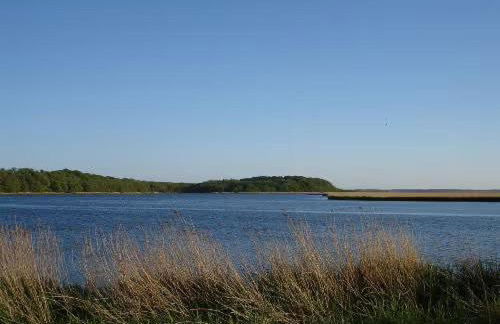 Haus Mövenort - Foto 7