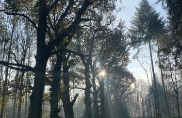 Stunning 2 Lodge Cottage retreat - Foto 30