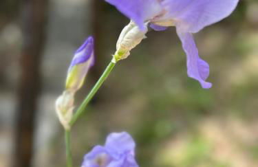 Les Lodges de Saint-Cassien 3 - Foto 31