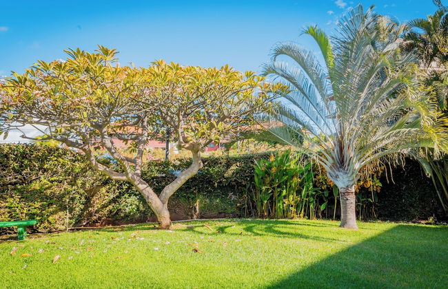 Maui Vista 1210 by Maui Rental Group - Photo 26