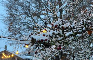 Boho Chic Cottage & Wild Garden nr Soho Farmhouse - Foto 39