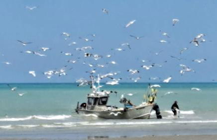 Agréable maison entre champs et mer - Foto 9