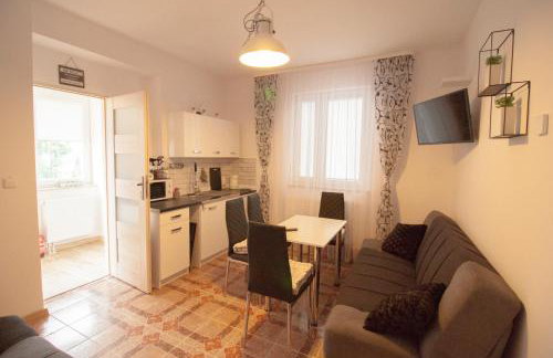 Apartamenty Bieszczady - Foto 70